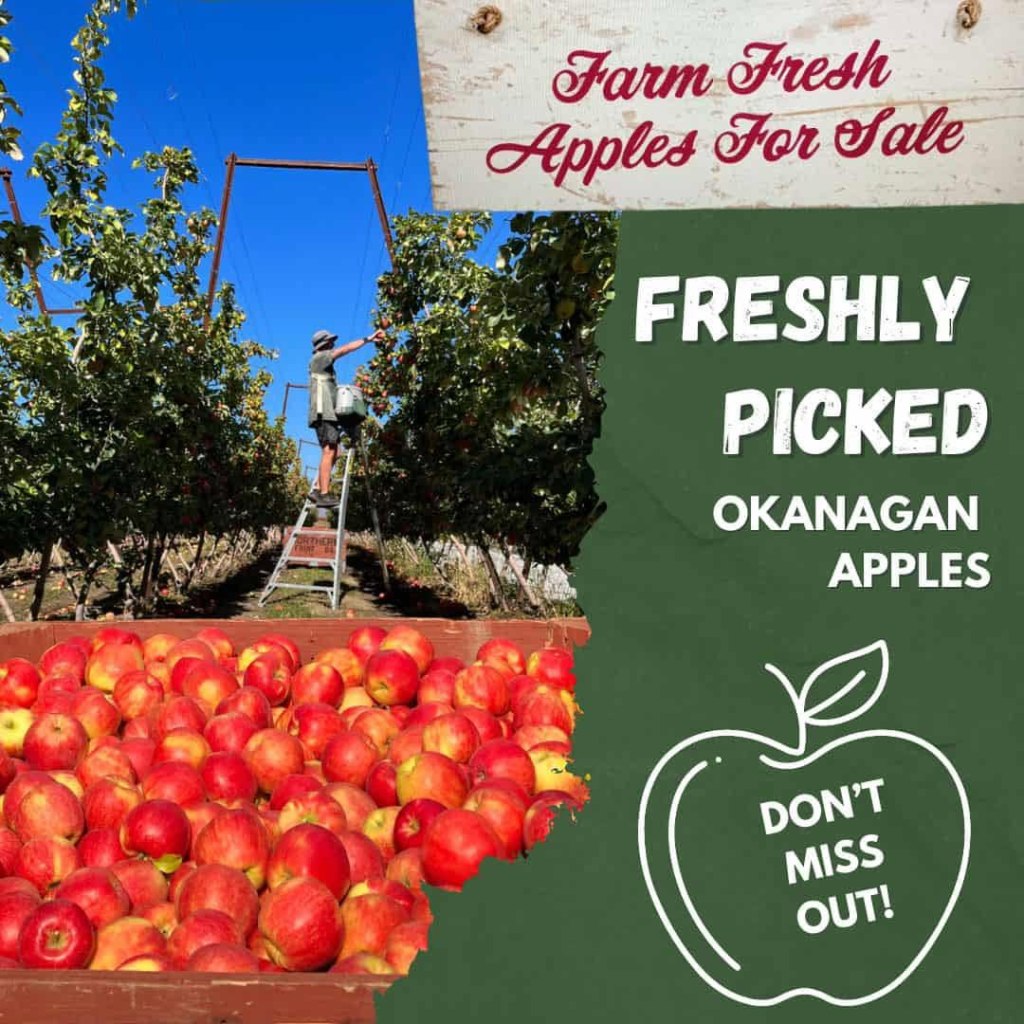 Apple Fundraiser – Now through November 7